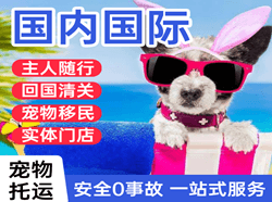 鄂尔多斯机场托运国际宠物托运 【国